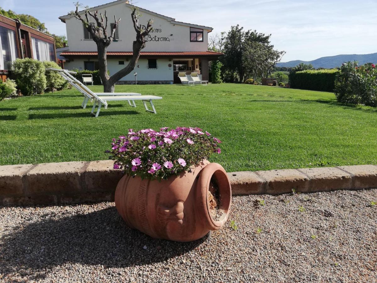 Agriturismo Diaccia Botrona Castiglione della Pescaia Bagian luar foto