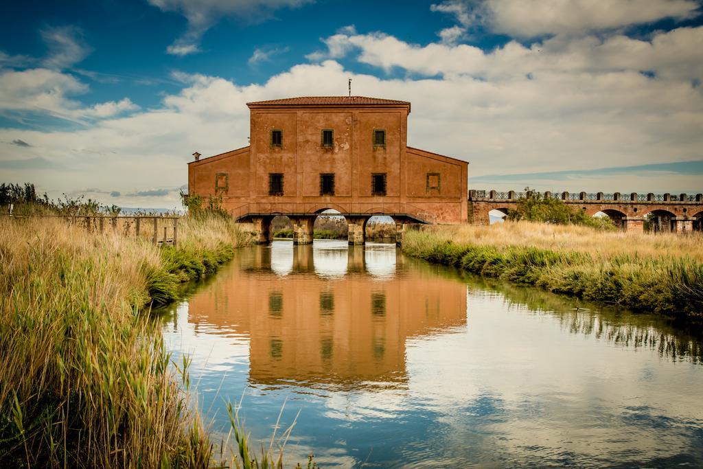 Agriturismo Diaccia Botrona Castiglione della Pescaia Bagian luar foto
