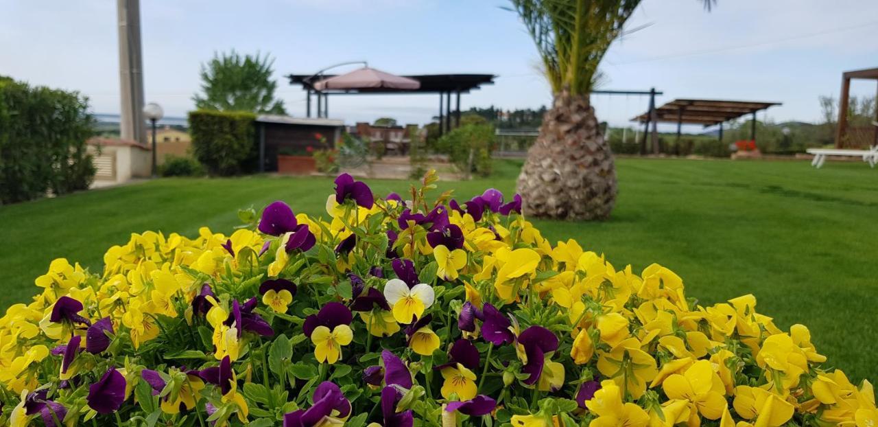 Agriturismo Diaccia Botrona Castiglione della Pescaia Bagian luar foto